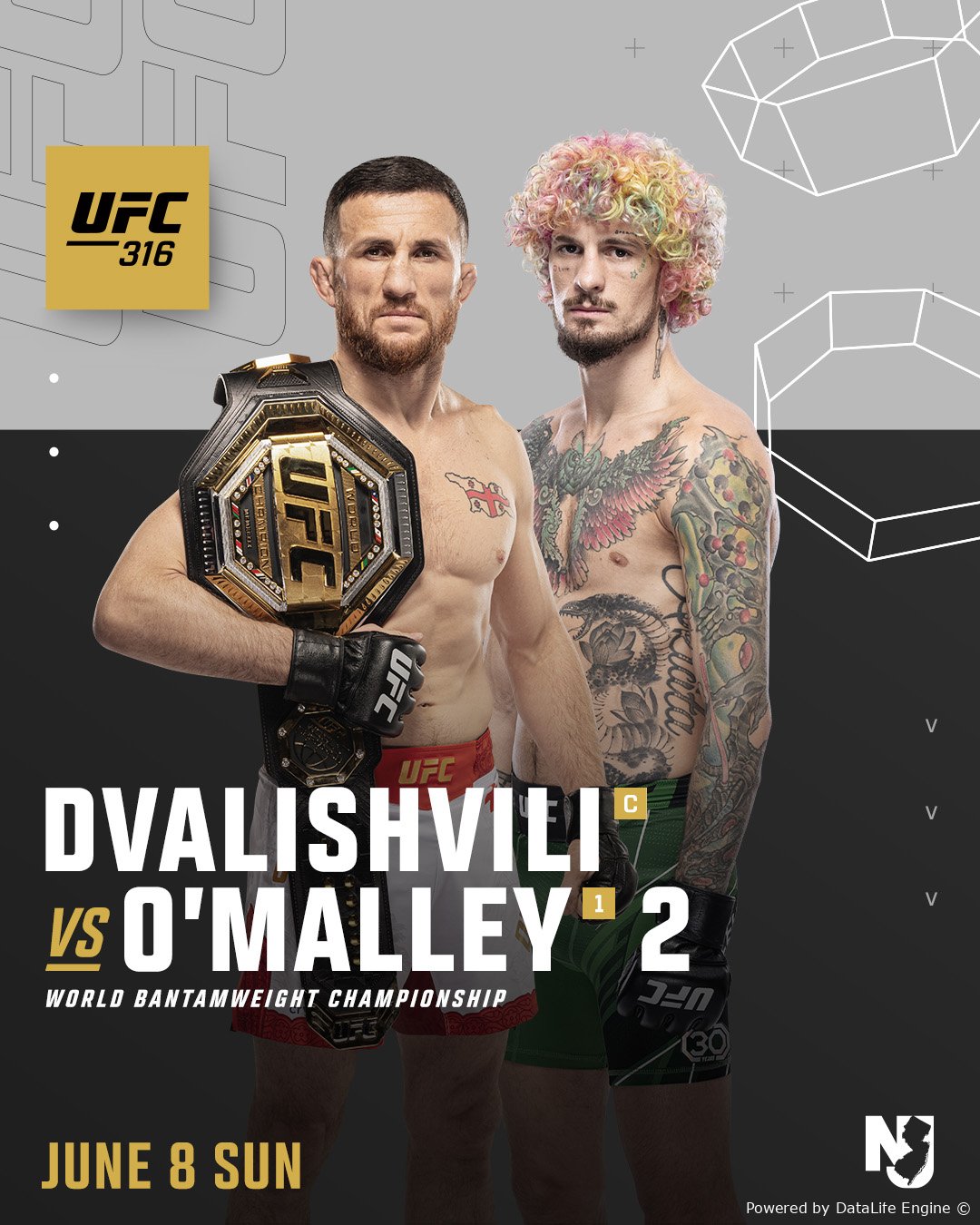 UFC 316