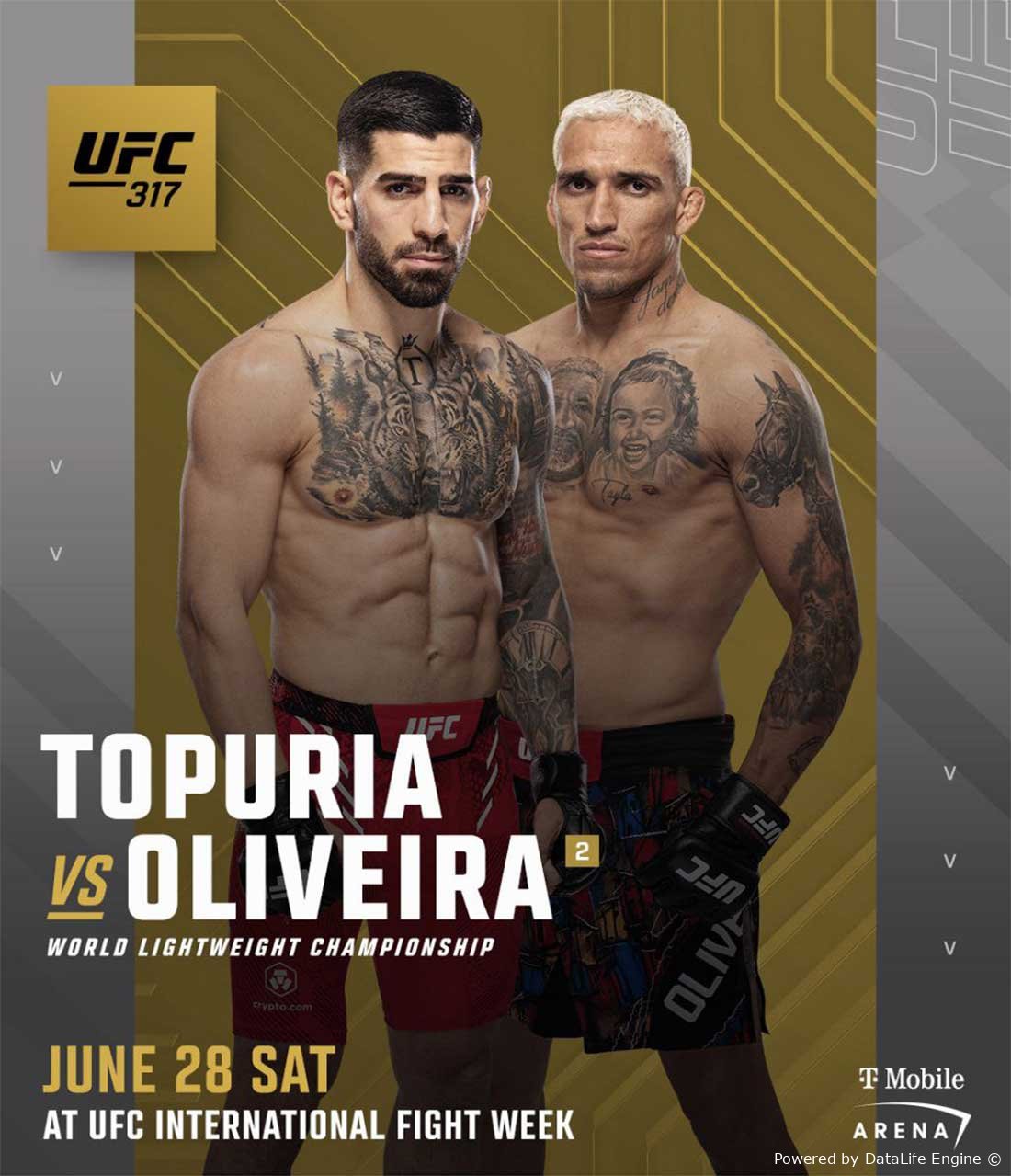 UFC 317